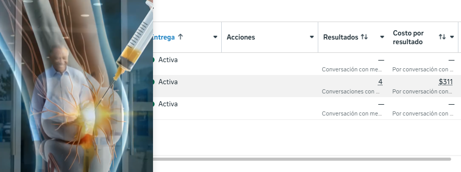 Resultados de un anuncio genérico con baja conversión